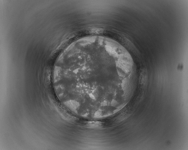 X0000114650363200911101326