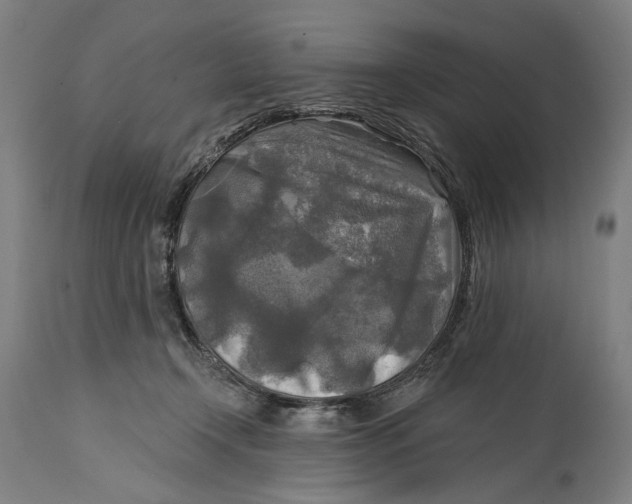 X0000114650366200911101326