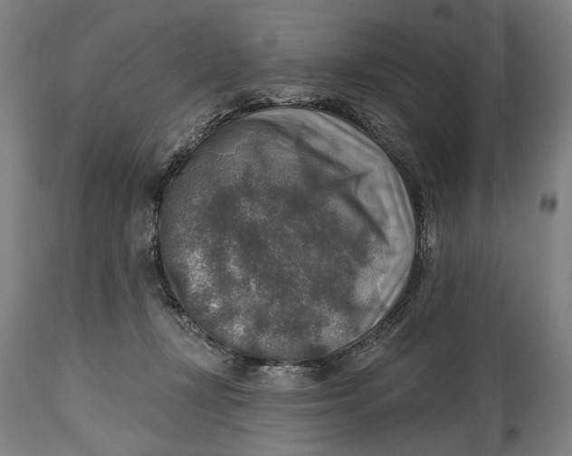 X0000114650367200911101326