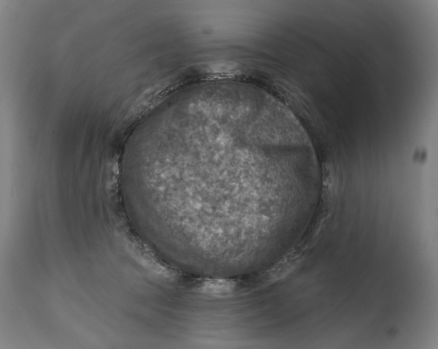 X0000114650369200911101326