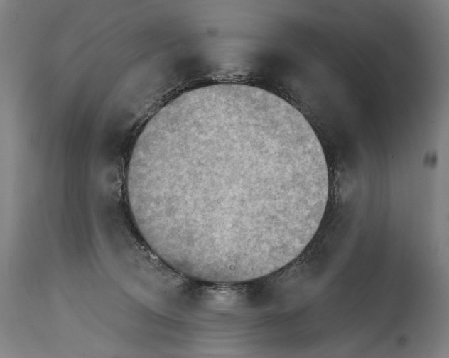 X0000114650370200911101326