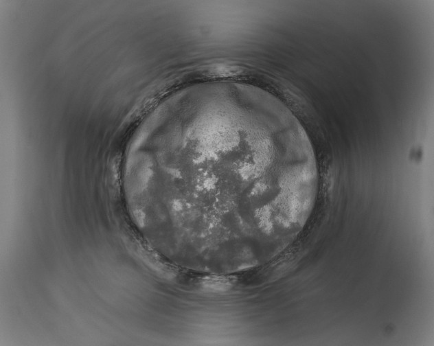 X0000114650373200911101326