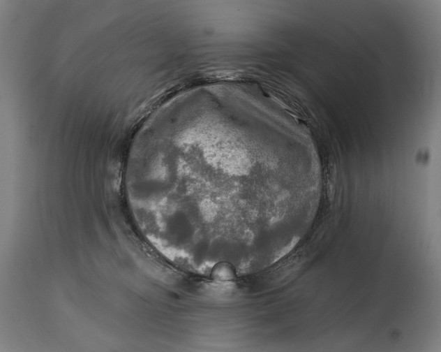 X0000114650374200911101326