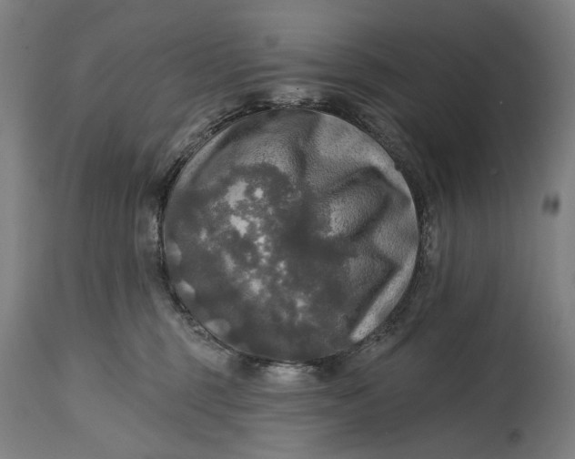 X0000114650375200911101326