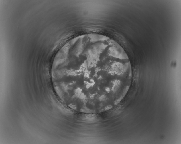 X0000114650377200911101326