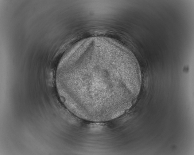 X0000114650378200911101326