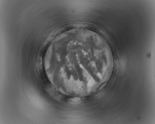 X0000114650381200911101326