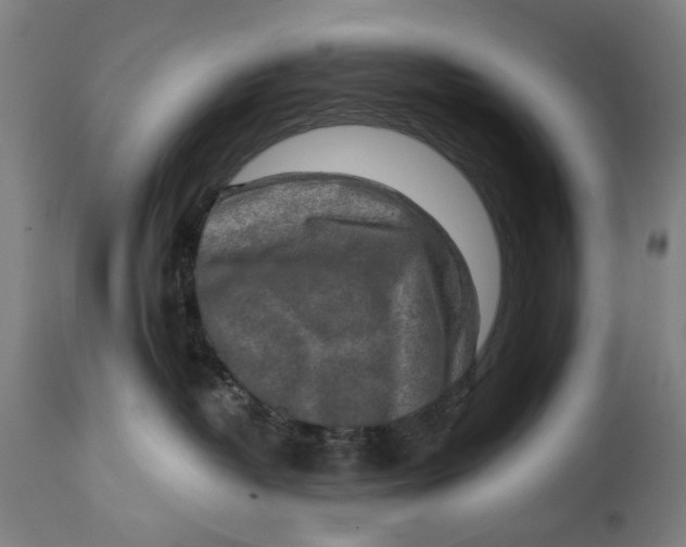 X0000114650382200911101326