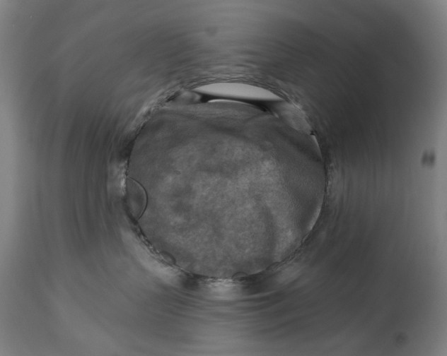 X0000114650383200911101326