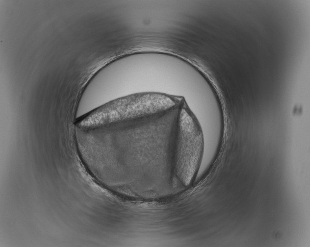 X0000114650385200911101325