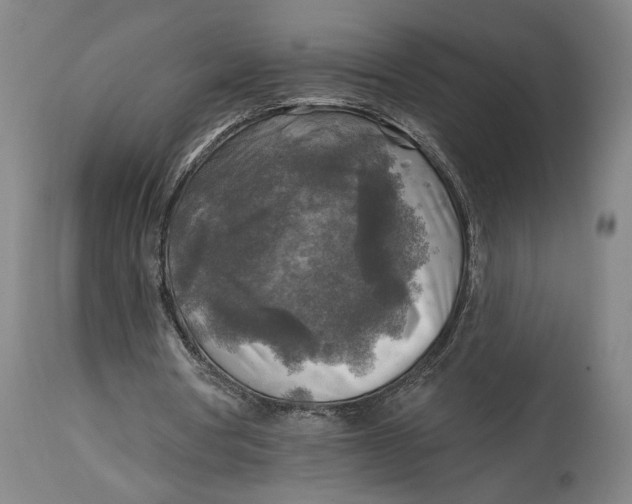 X0000114650386200911101325