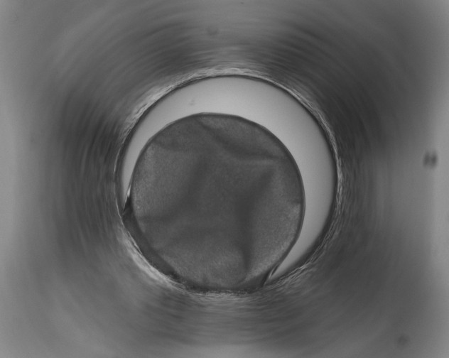 X0000114650389200911101325