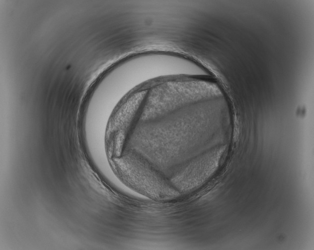 X0000114650391200911101325