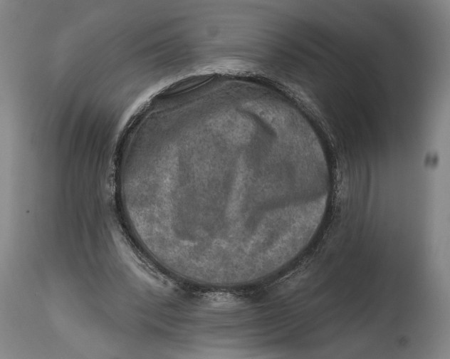 X0000114650392200911101325