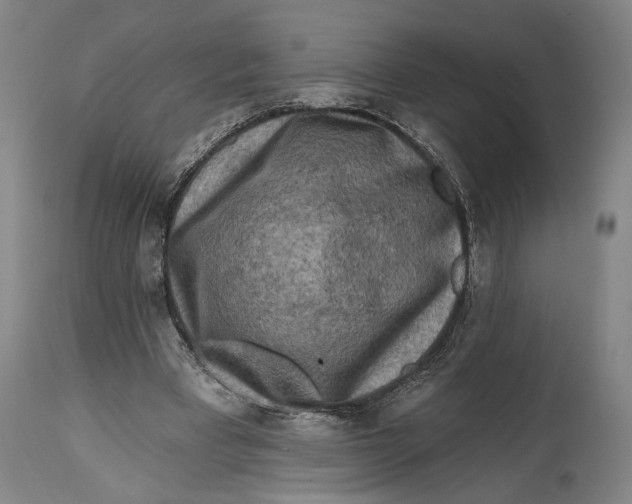 X0000114650393200911101325