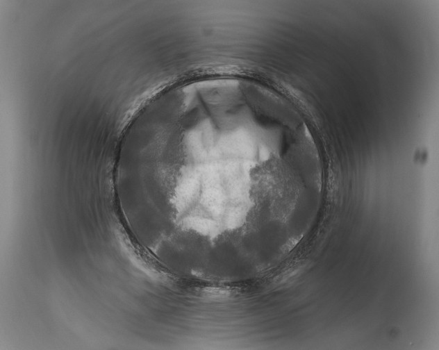 X0000114650394200911101325