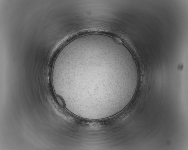 X0000114650395200911101325