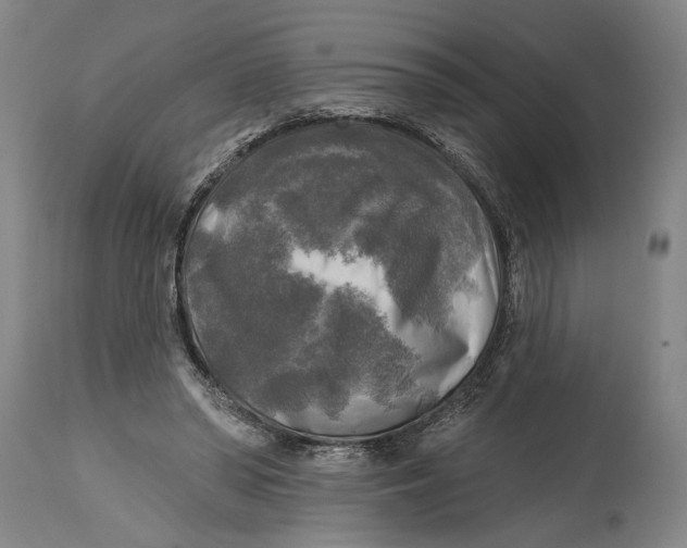 X0000114650398200911101325