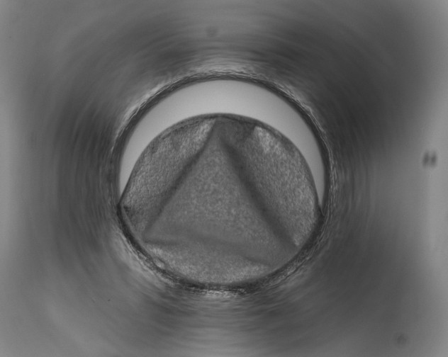 X0000114650399200911101325