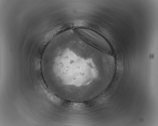 X0000114650401200911101325