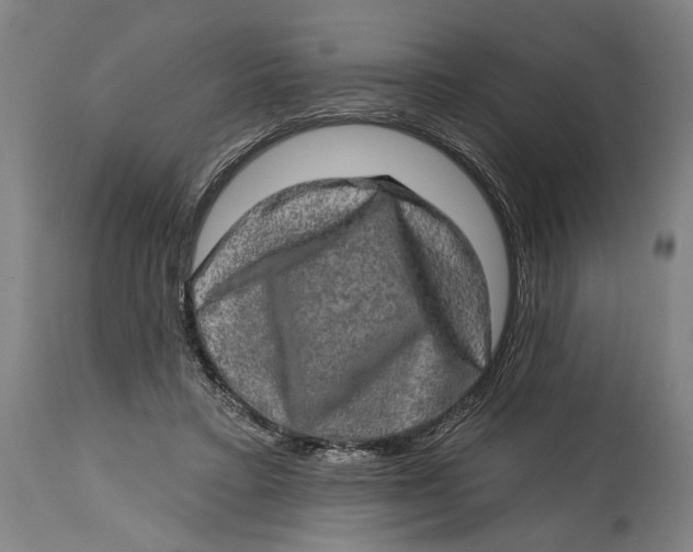 X0000114650403200911101325