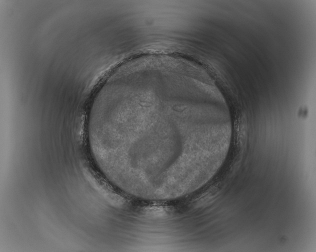 X0000114650404200911101325