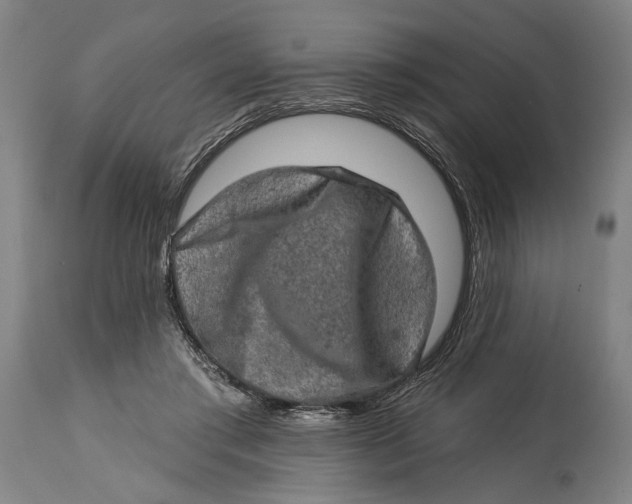 X0000114650405200911101325