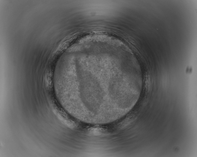 X0000114650408200911101325