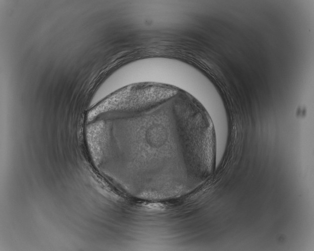 X0000114650409200911101325