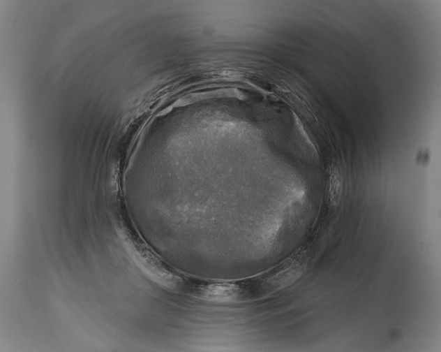 X0000114650410200911101325