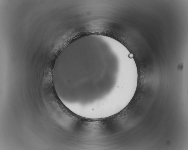 X0000114650411200911101325