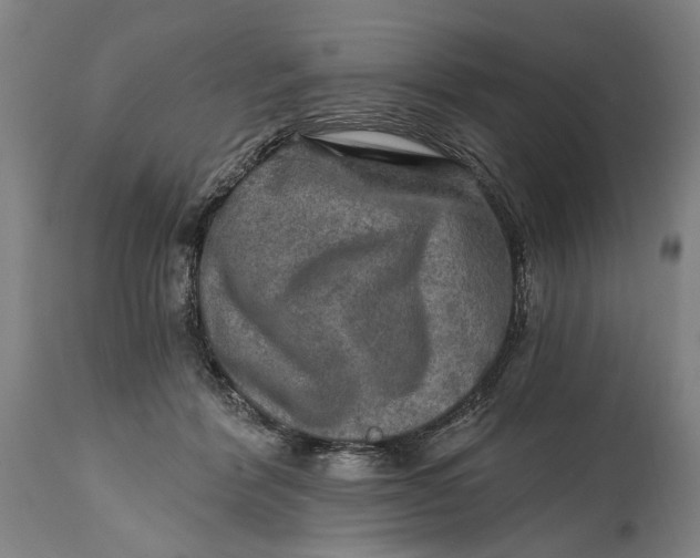 X0000114650412200911101325