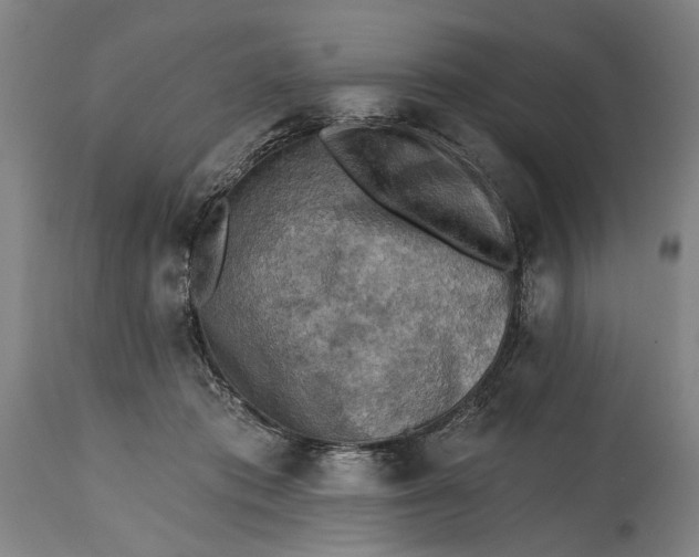 X0000114650413200911101325