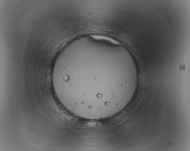 X0000114650415200911101325