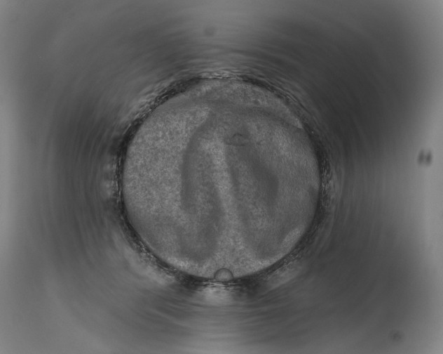 X0000114650416200911101325