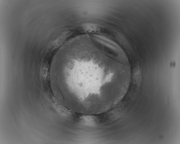 X0000114650417200911101325