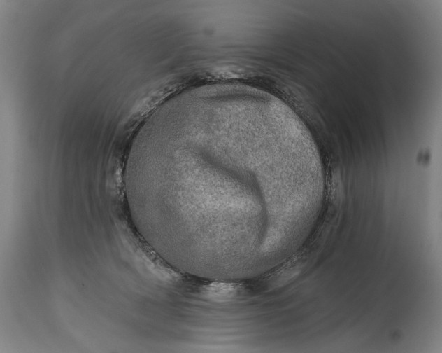 X0000114650418200911101325