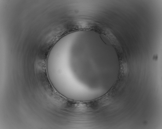 X0000114650419200911101325