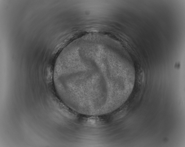 X0000114650420200911101325