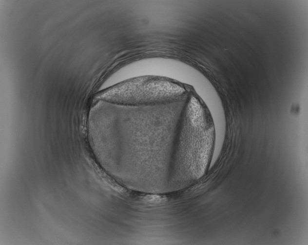 X0000114650421200911101325