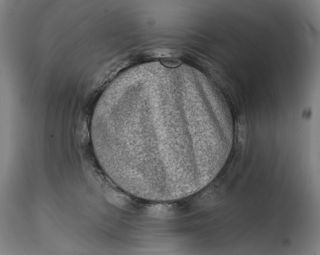 X0000114650422200911101325