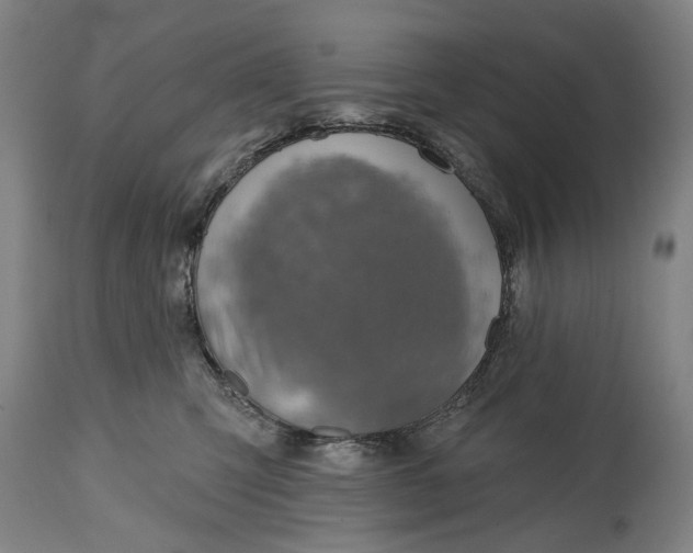 X0000114650423200911101325