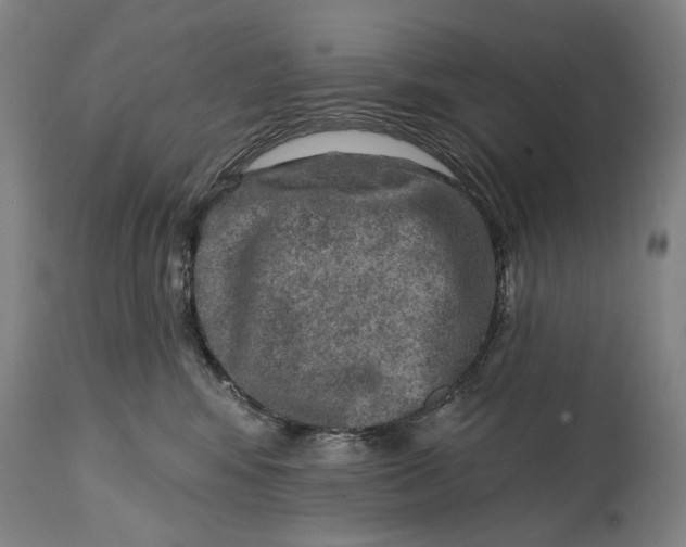 X0000114650424200911101325