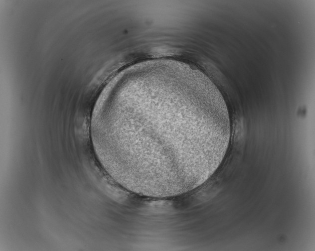 X0000114650426200911101325