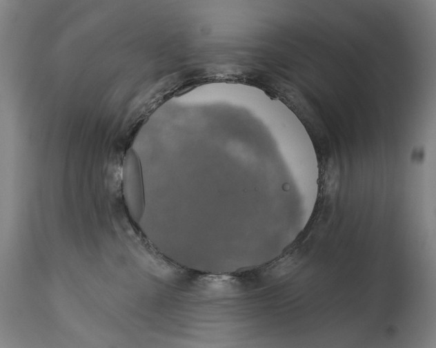 X0000114650427200911101325