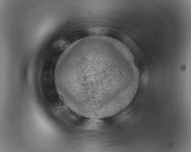 X0000114650429200911101325