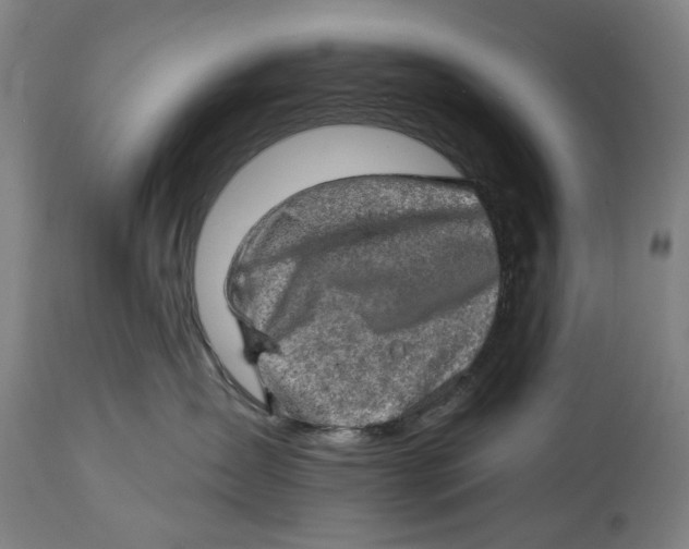 X0000114650431200911101325