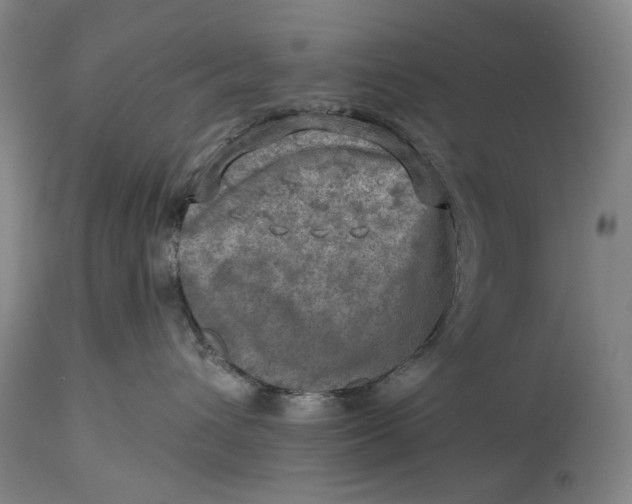 X0000114650432200911101325