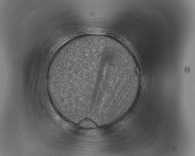 X0000114650433200911101324