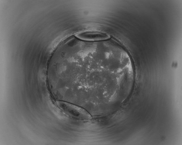 X0000114650434200911101324